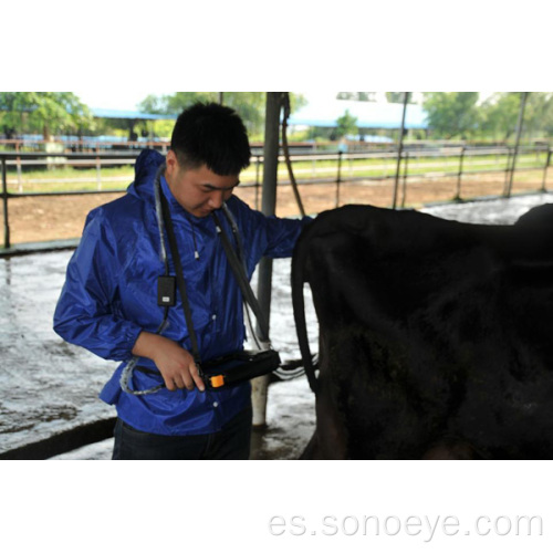 Escáner de ultrasonido de palma para ganado